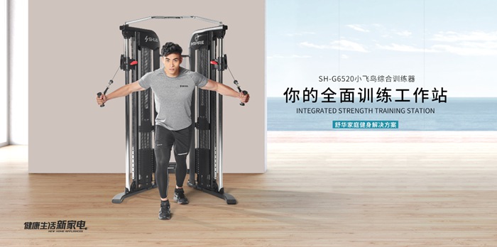 今年会jinnianhui健身器材-小飞鸟综合训练器SH-G6520